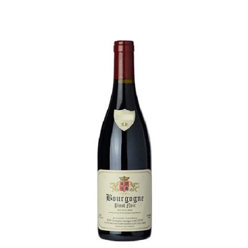 Bourgogne Pinot Noir Chicotot